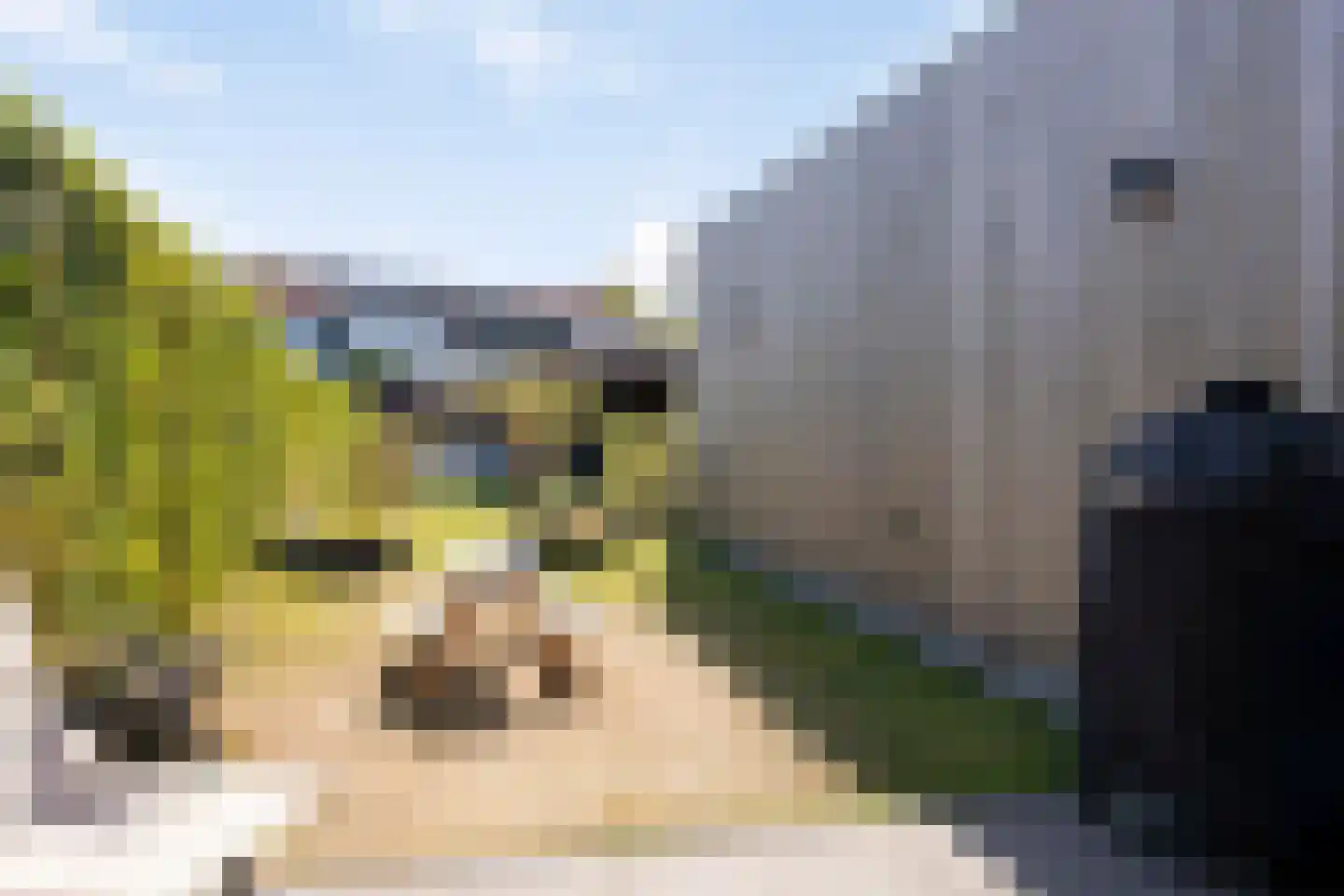 Olmentuin 38 Steenbergen thumbnail 43
