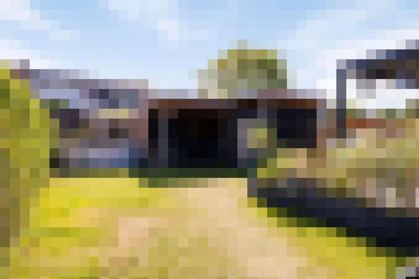 Olmentuin 38 Steenbergen thumbnail 44