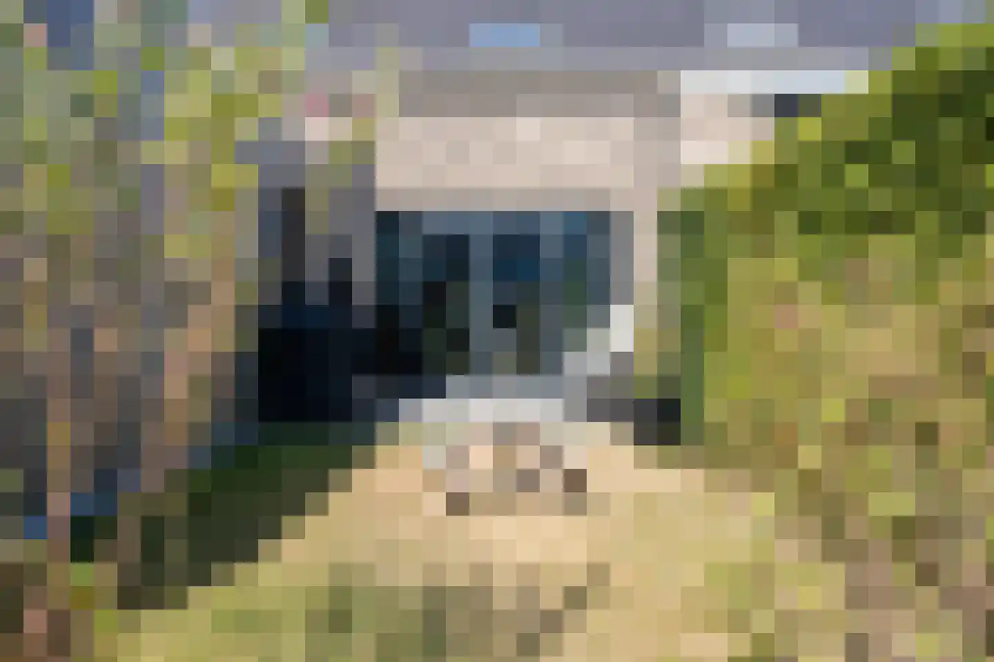 Olmentuin 38 Steenbergen thumbnail 46