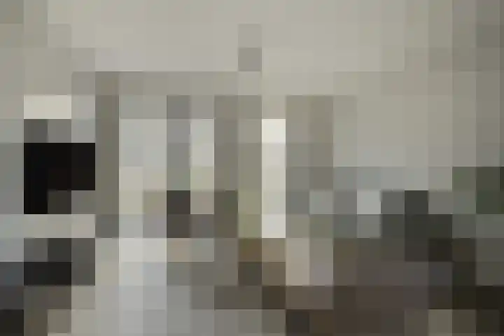Olmentuin 48 Steenbergen thumbnail 10