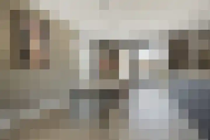 Olmentuin 48 Steenbergen thumbnail 13