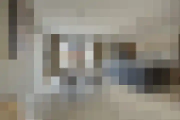 Olmentuin 48 Steenbergen thumbnail 14