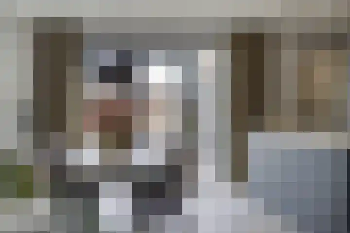 Olmentuin 48 Steenbergen thumbnail 15