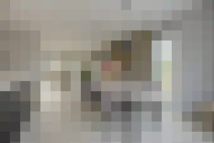 Olmentuin 48 Steenbergen thumbnail 18