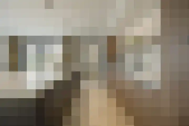 Olmentuin 48 Steenbergen thumbnail 21