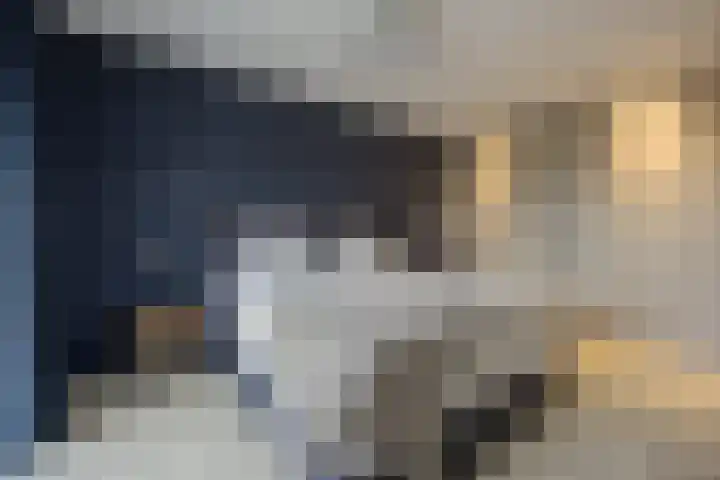 Olmentuin 48 Steenbergen thumbnail 26