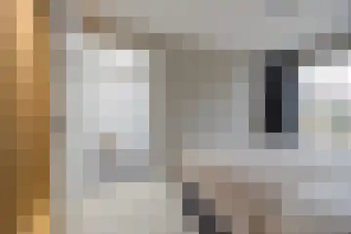 Olmentuin 48 Steenbergen thumbnail 28