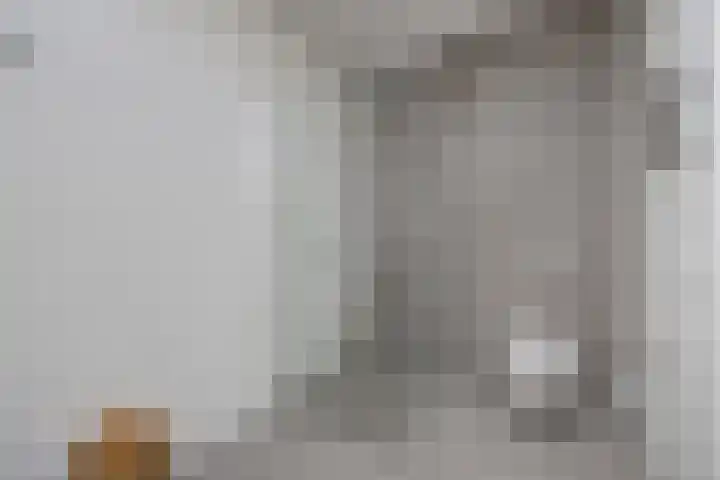 Olmentuin 48 Steenbergen thumbnail 29