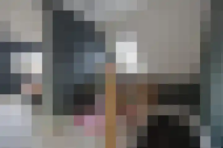 Olmentuin 48 Steenbergen thumbnail 32