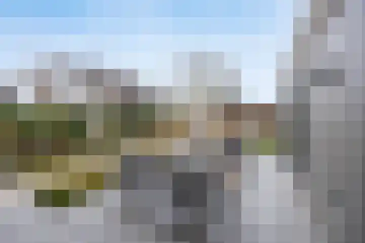 Olmentuin 48 Steenbergen thumbnail 42
