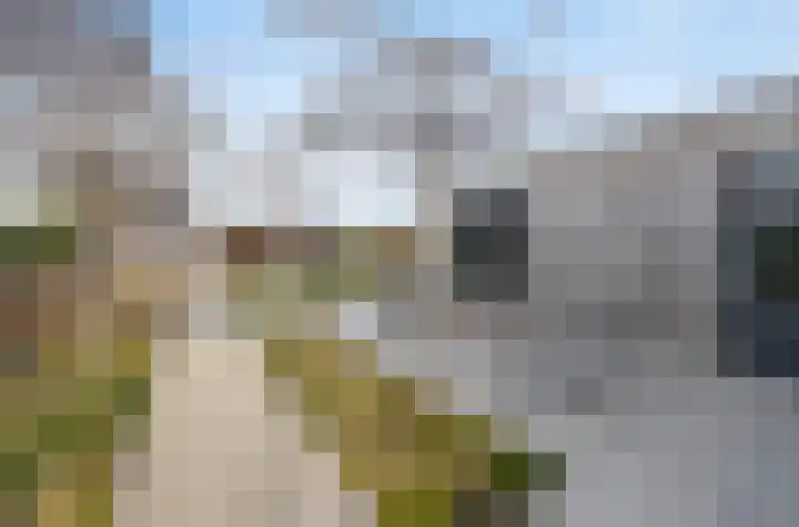 Olmentuin 48 Steenbergen thumbnail 43