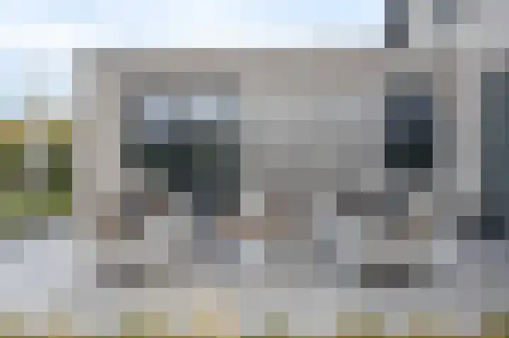 Olmentuin 48 Steenbergen thumbnail 44