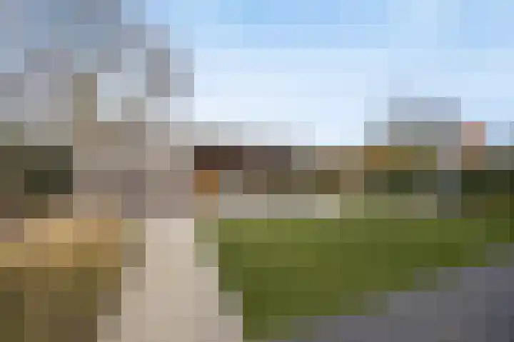 Olmentuin 48 Steenbergen thumbnail 45