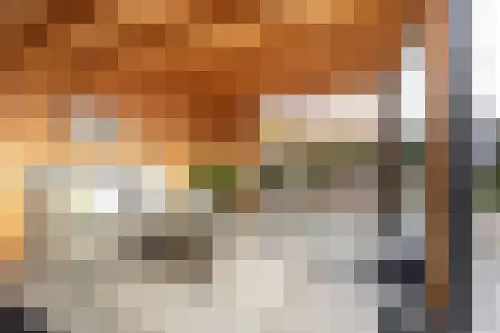 Olmentuin 48 Steenbergen thumbnail 47