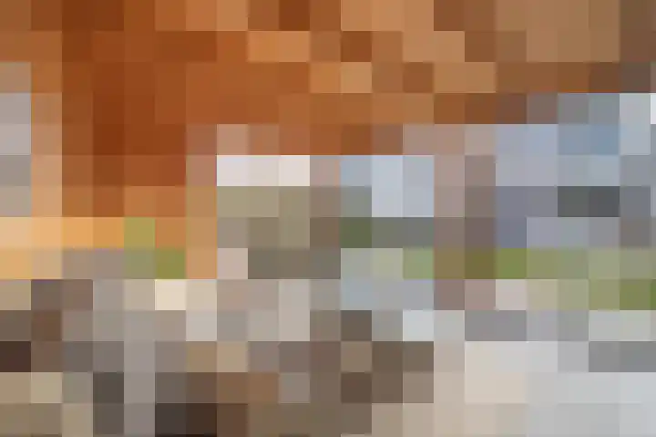 Olmentuin 48 Steenbergen thumbnail 48