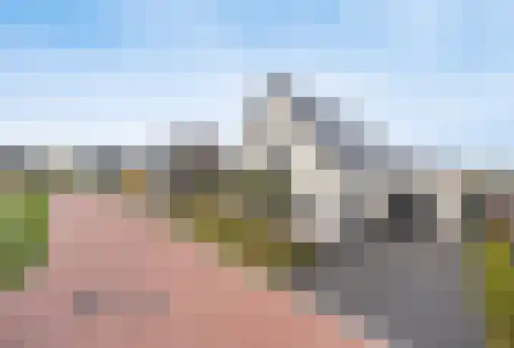 Olmentuin 48 Steenbergen thumbnail 5