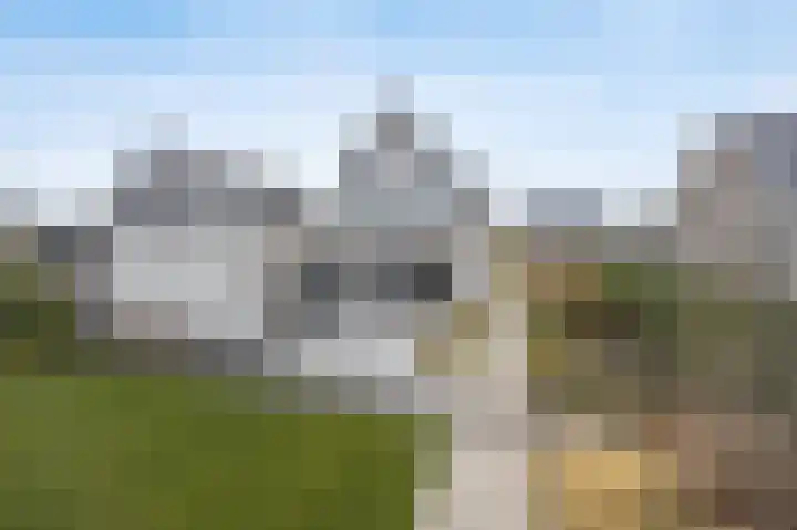 Olmentuin 48 Steenbergen thumbnail 50