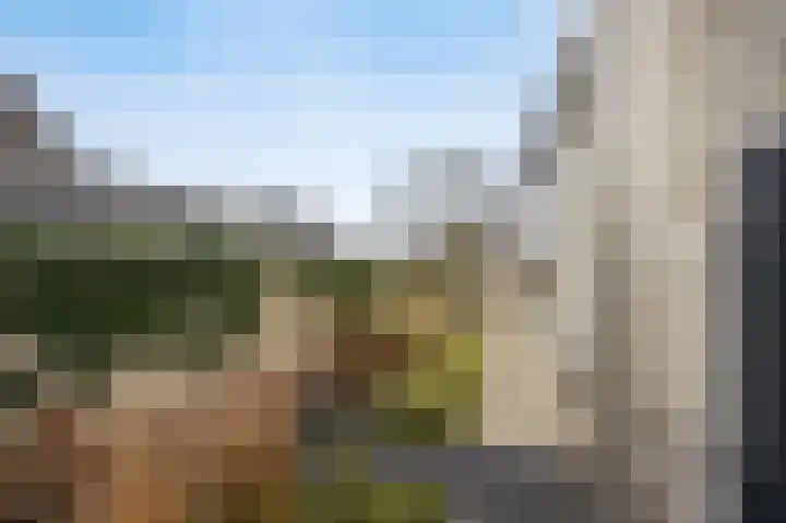Olmentuin 48 Steenbergen thumbnail 53