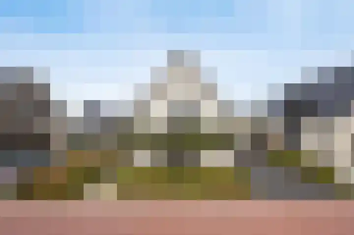 Olmentuin 48 Steenbergen thumbnail 55