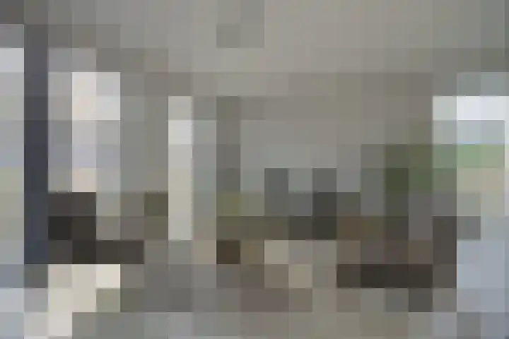 Olmentuin 48 Steenbergen thumbnail 9