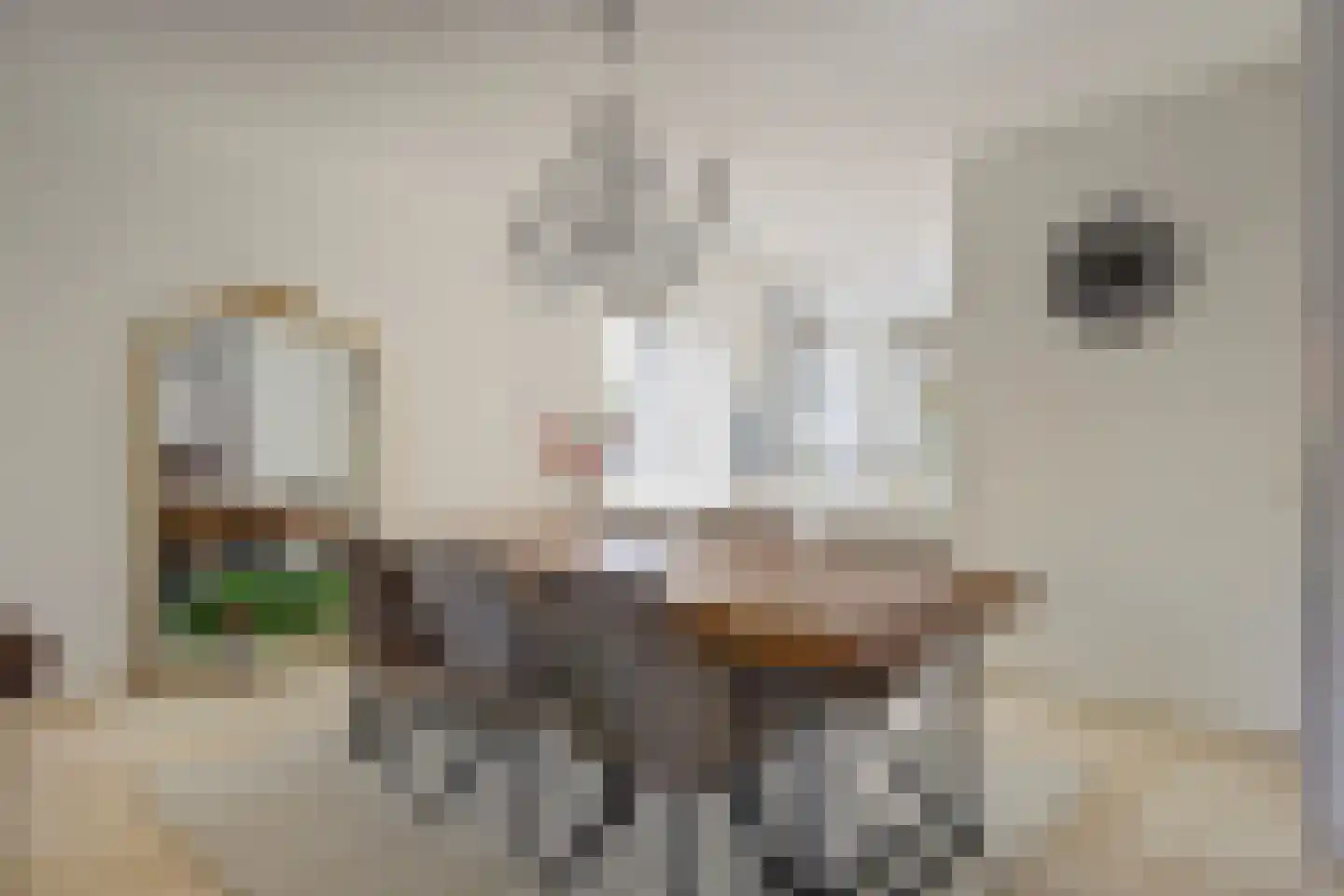Olmhof 22 Lage Zwaluwe thumbnail 12