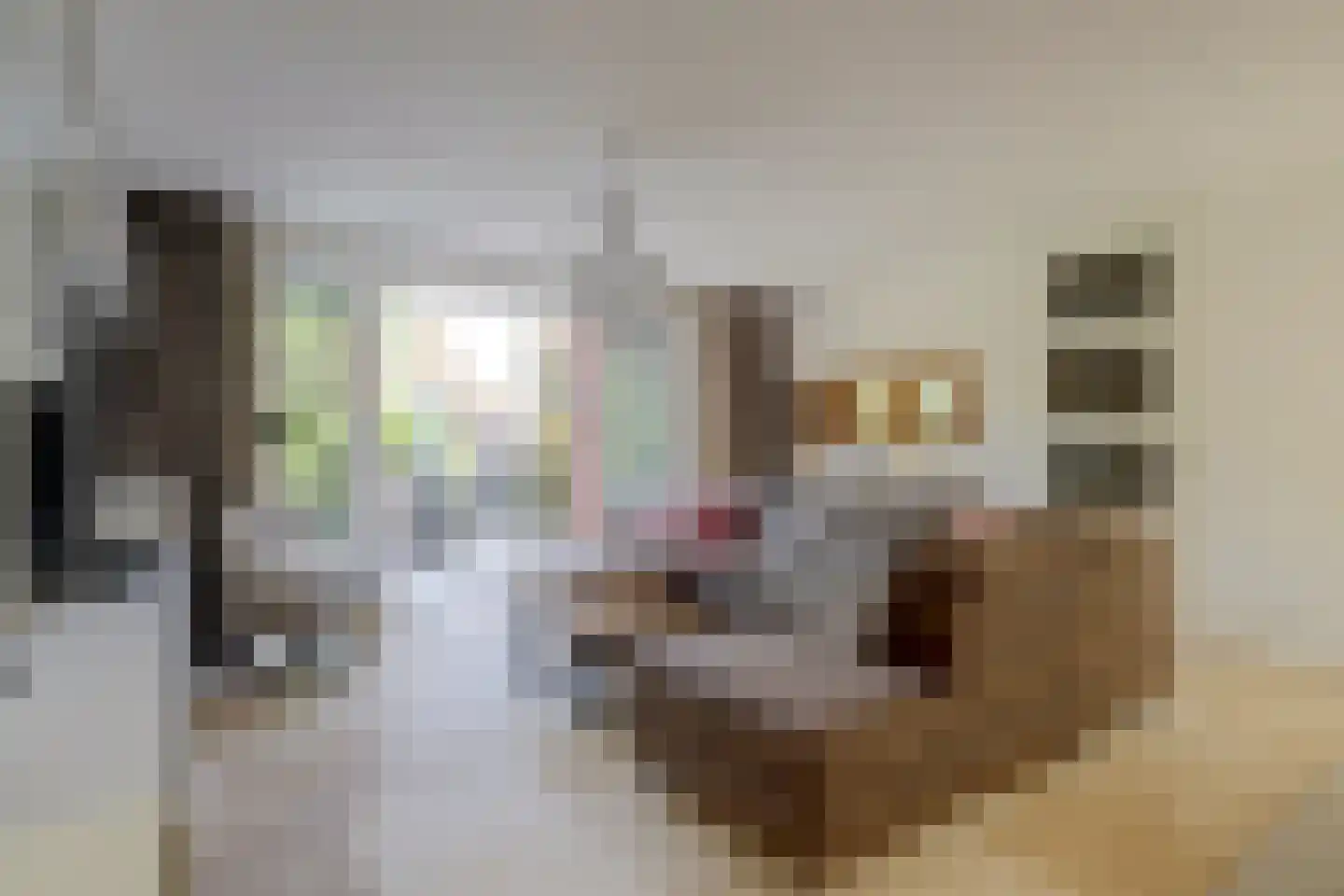 Olmhof 22 Lage Zwaluwe foto 2