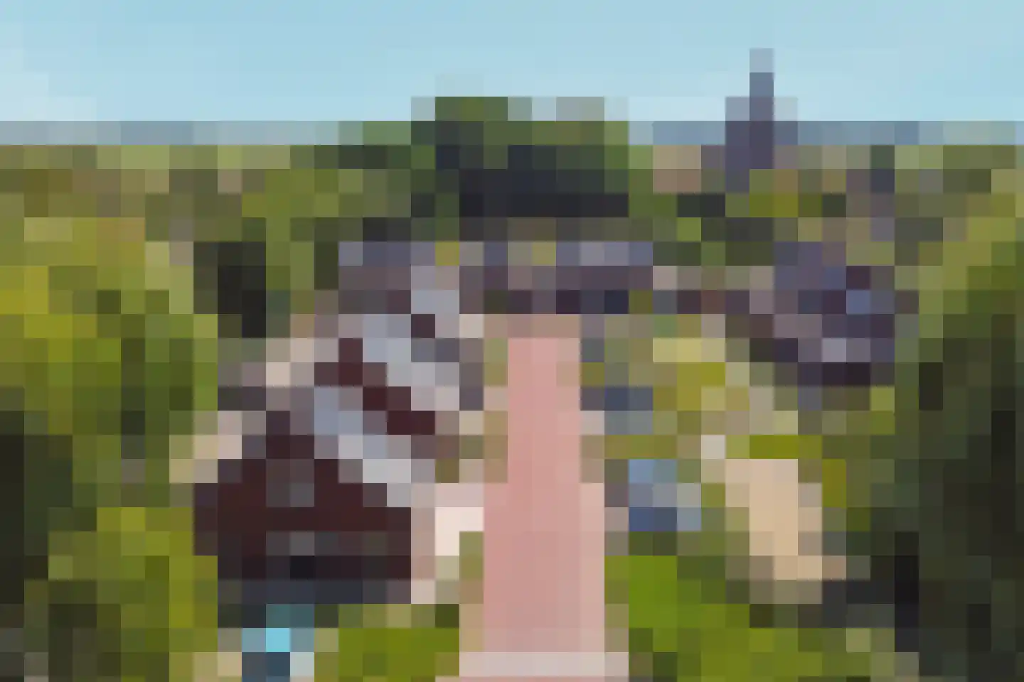 Olmhof 22 Lage Zwaluwe thumbnail 51