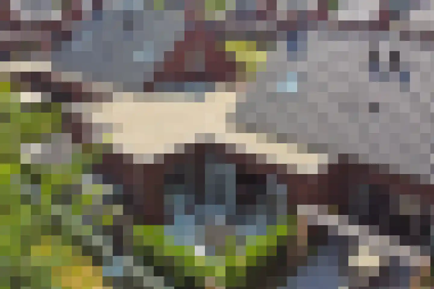 Olmhof 22 Lage Zwaluwe thumbnail 57