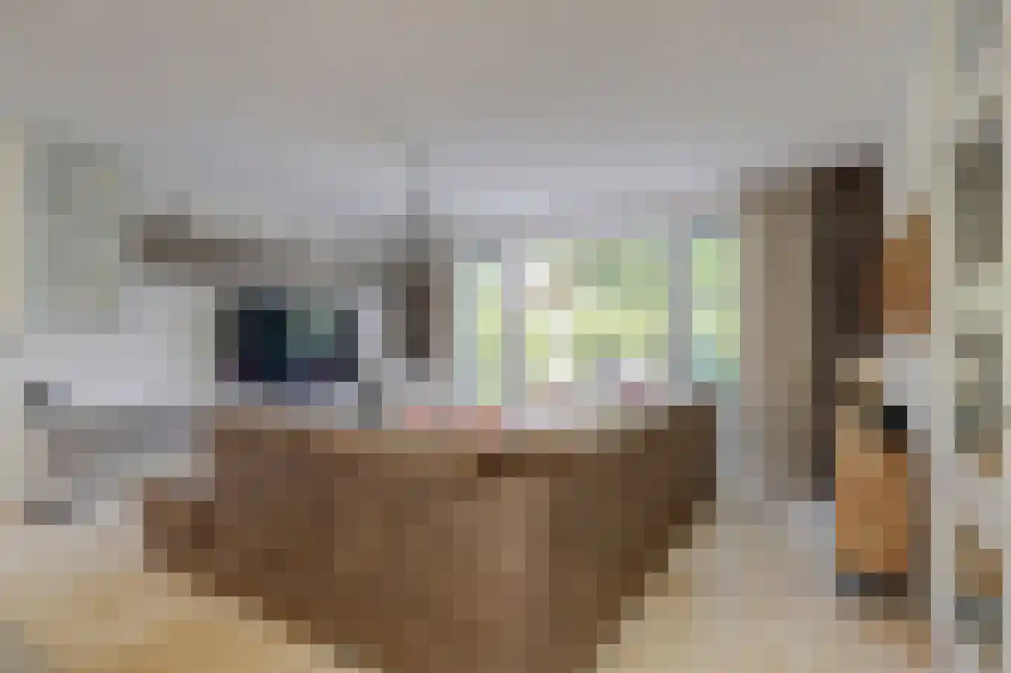 Olmhof 22 Lage Zwaluwe thumbnail 6