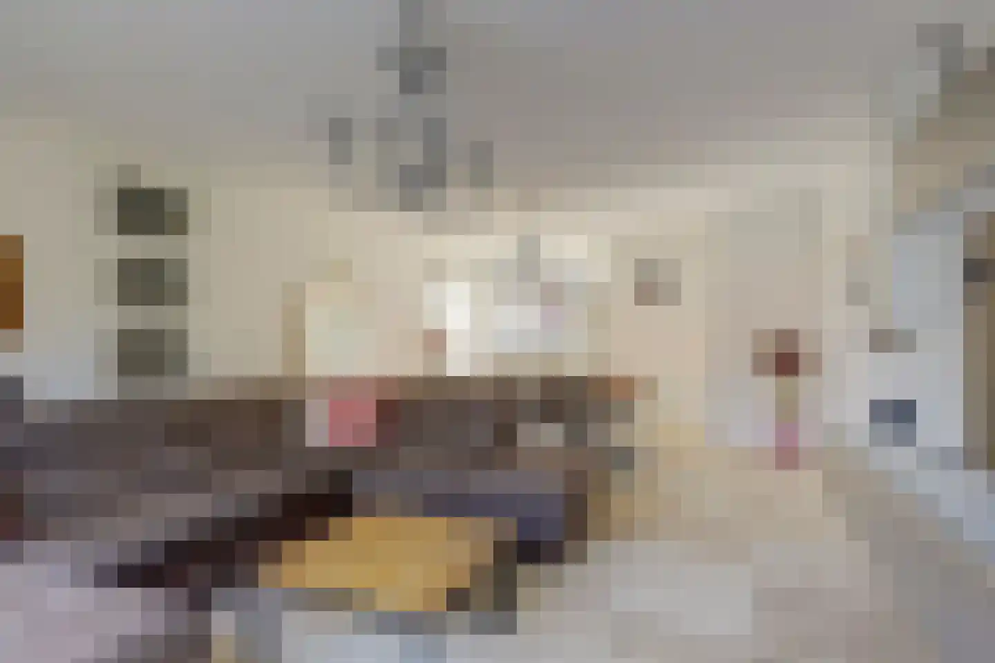 Olmhof 22 Lage Zwaluwe thumbnail 7