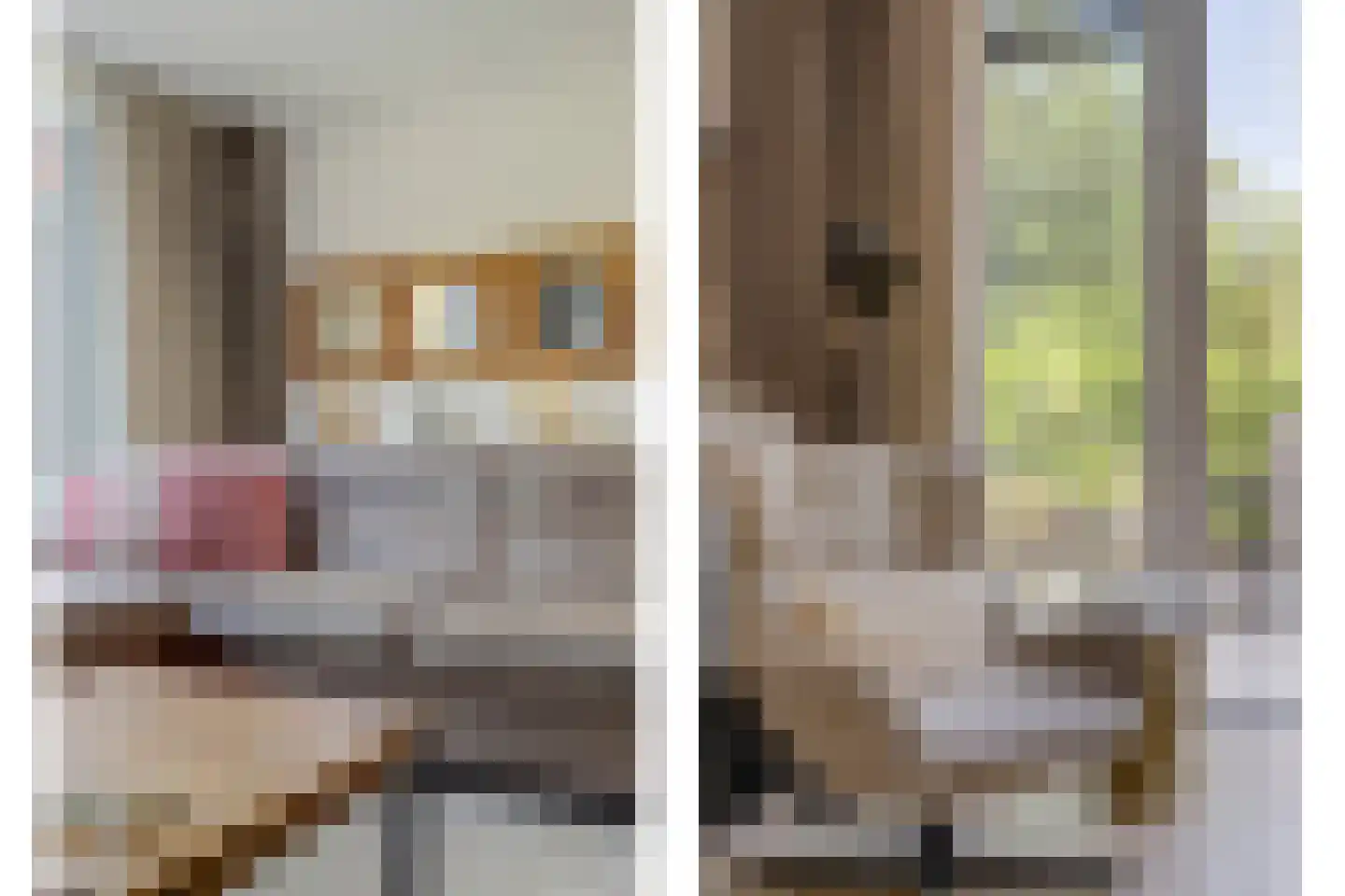 Olmhof 22 Lage Zwaluwe thumbnail 8