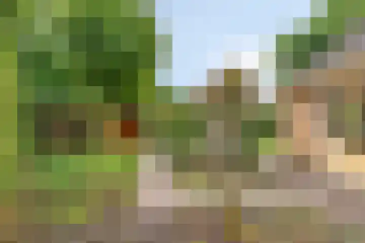 Olmiuslaan 17 Laag-Keppel thumbnail 24