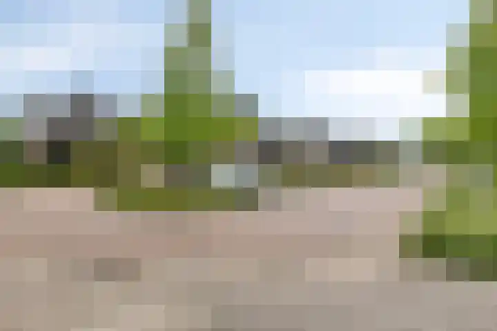 Olmiuslaan 17 Laag-Keppel thumbnail 31