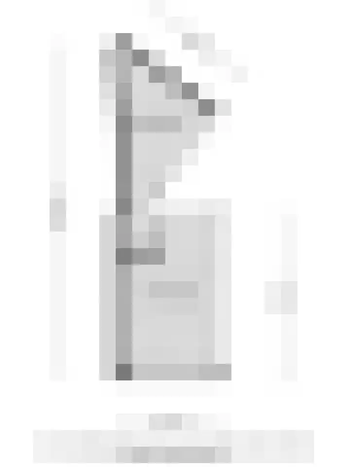 Olmiuslaan 17 Laag-Keppel thumbnail 35