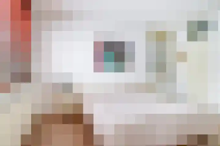 Olmiuslaan 19 Laag-Keppel thumbnail 20