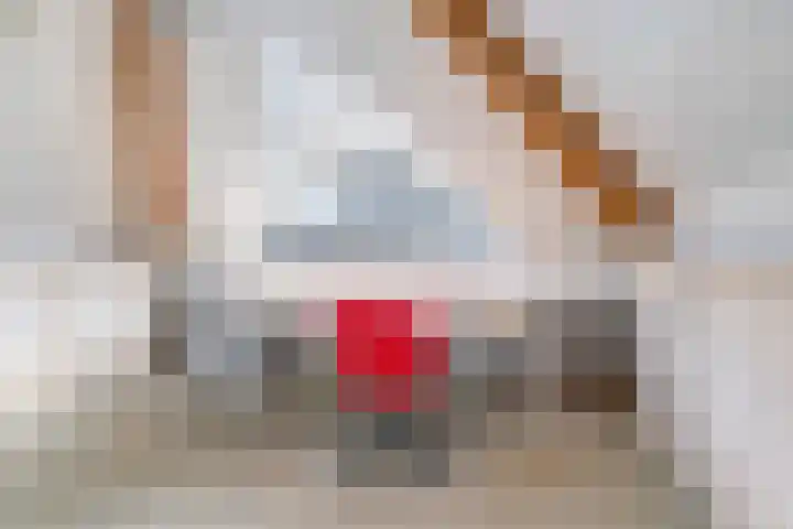 Olmiuslaan 19 Laag-Keppel thumbnail 33