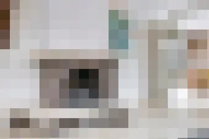 Olmiuslaan 19 Laag-Keppel thumbnail 9