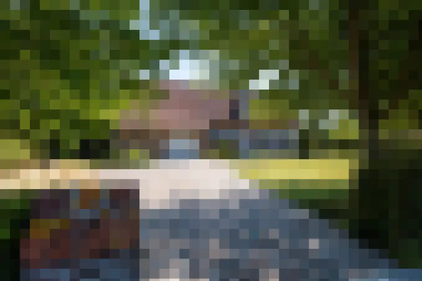 Olmsebaan 204 Noardburgum