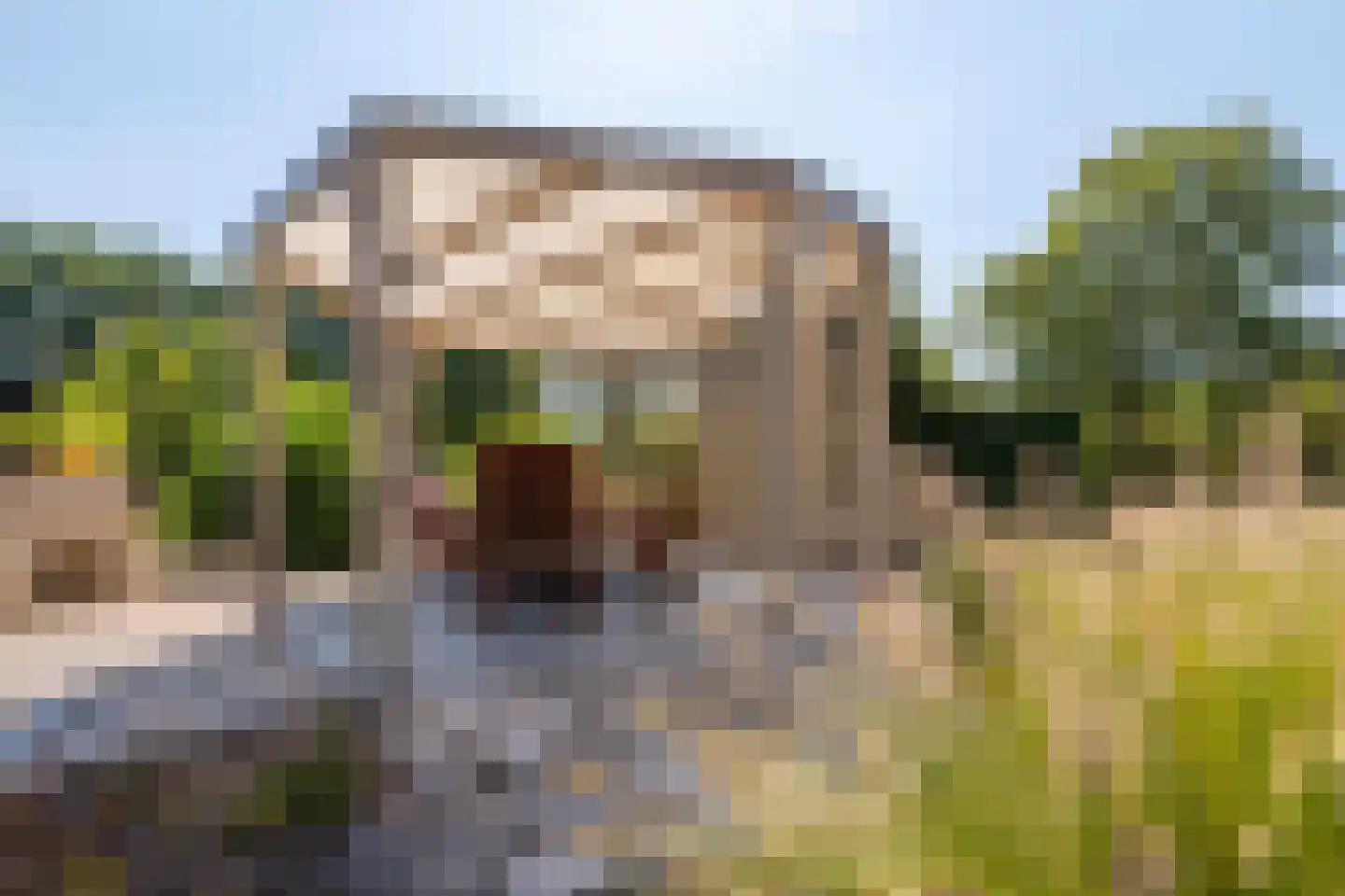 Olmsebaan 204 Noardburgum thumbnail 17