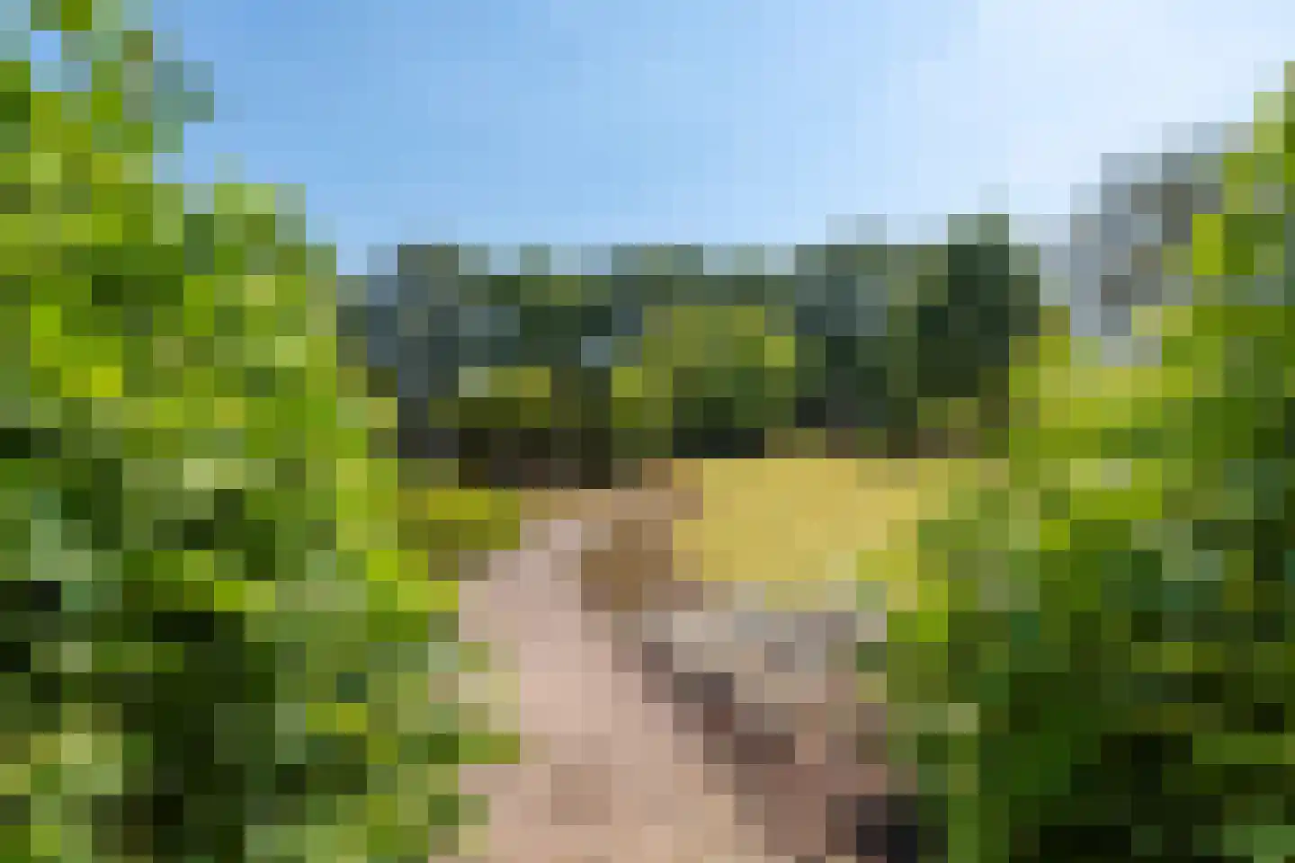 Olmsebaan 204 Noardburgum thumbnail 18