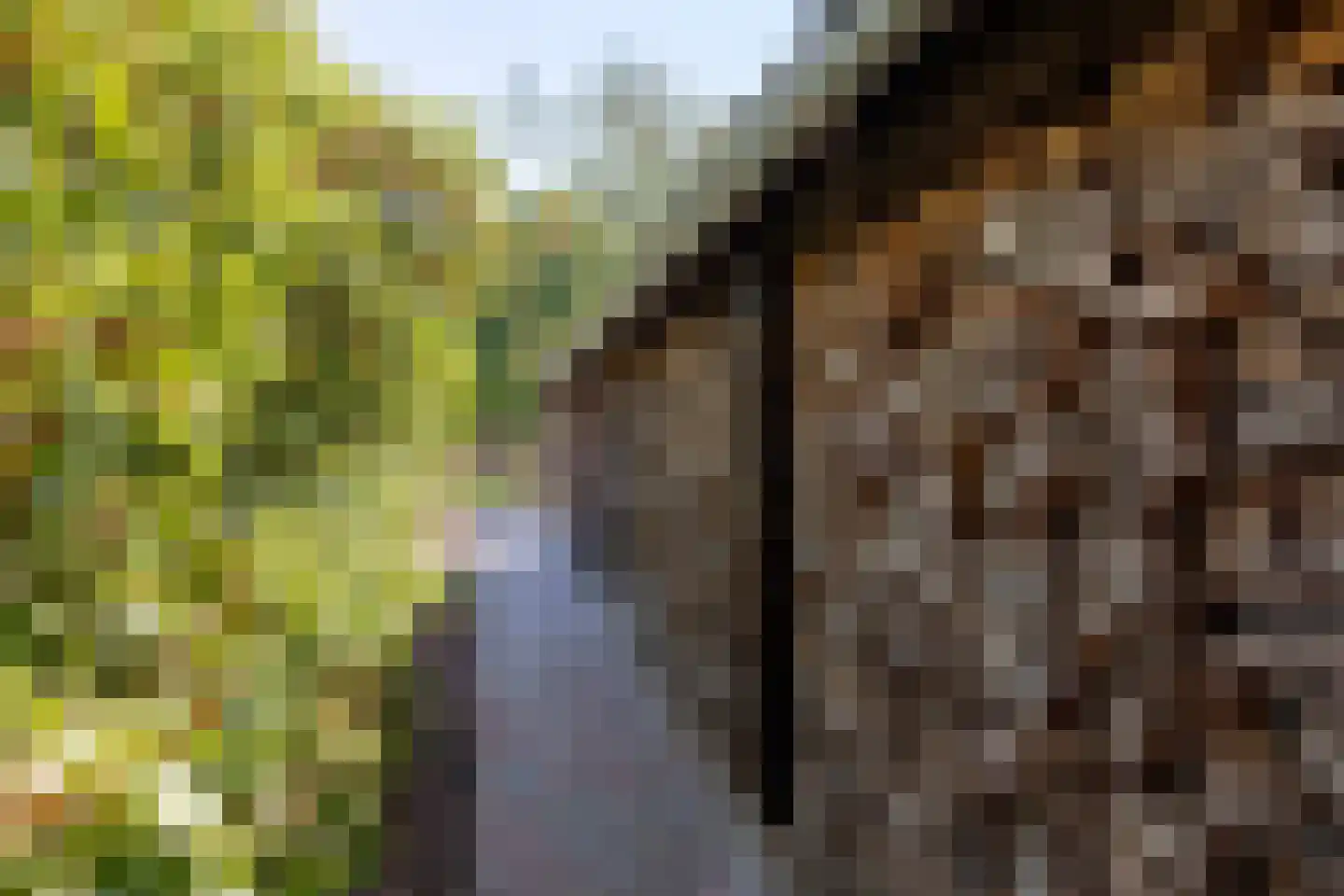 Olmsebaan 204 Noardburgum thumbnail 19