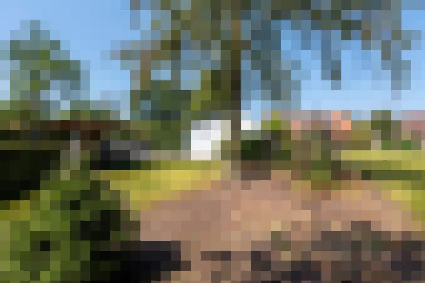 Olmsebaan 204 Noardburgum thumbnail 21