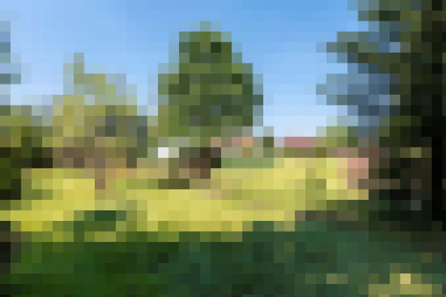Olmsebaan 204 Noardburgum thumbnail 22