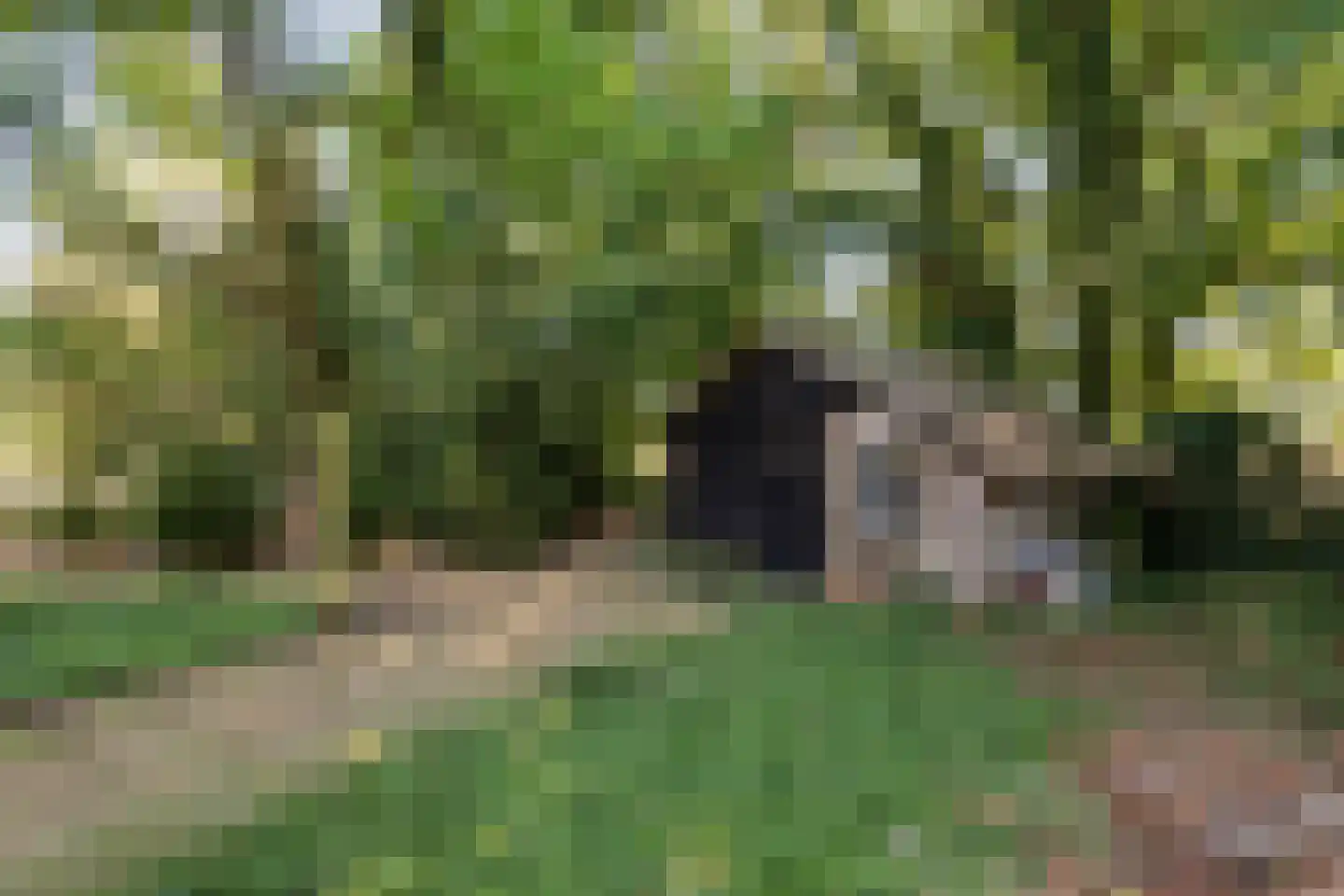 Olmsebaan 204 Noardburgum thumbnail 23