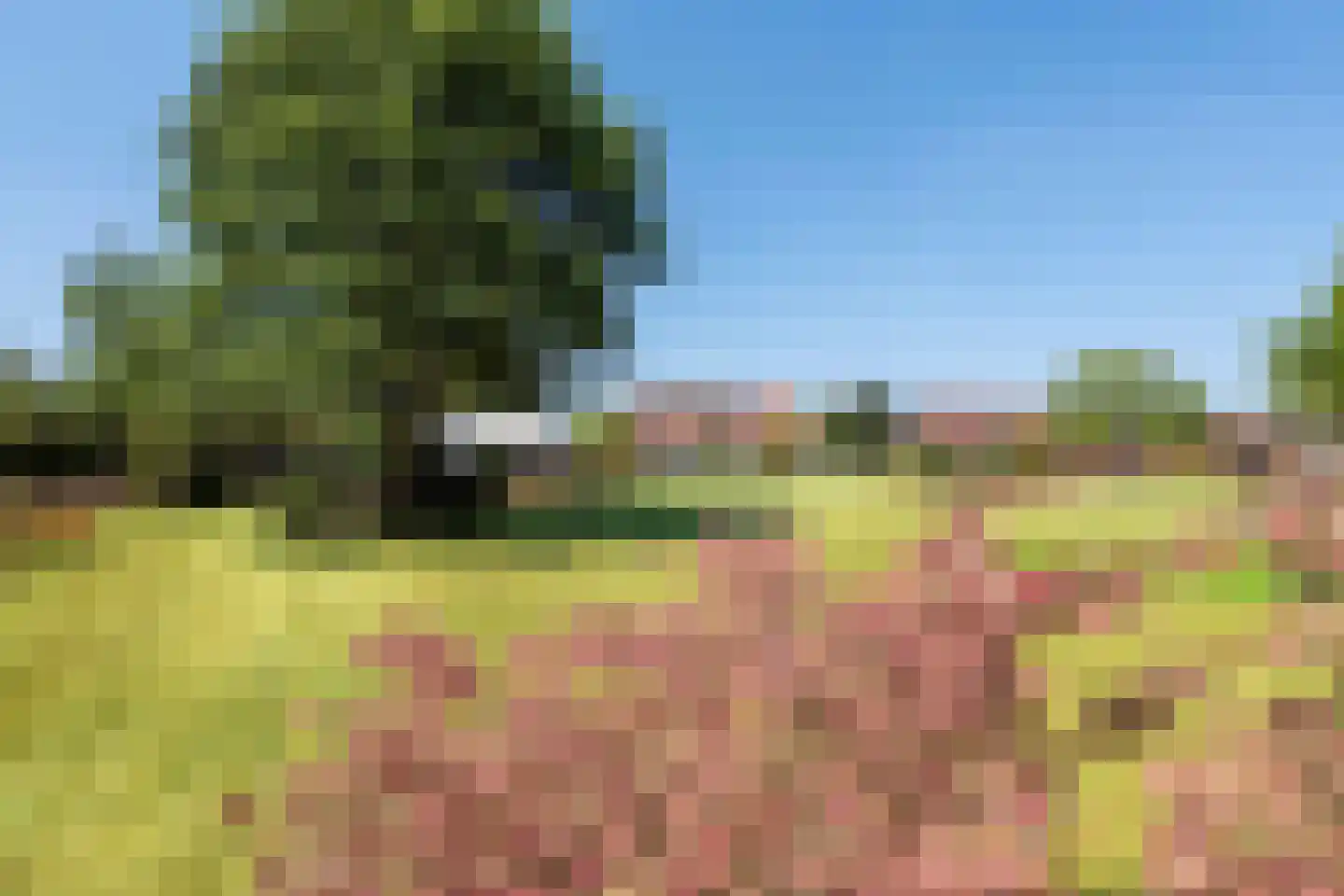 Olmsebaan 204 Noardburgum thumbnail 24