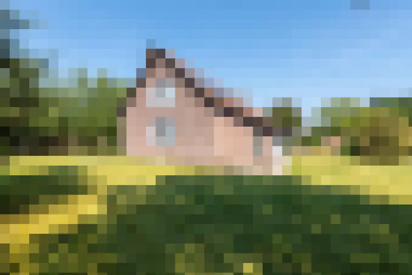 Olmsebaan 204 Noardburgum thumbnail 27
