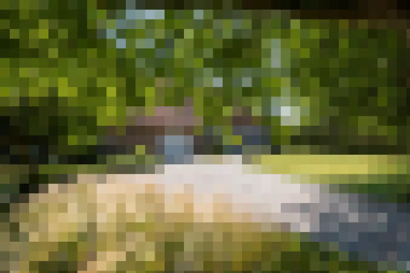 Olmsebaan 204 Noardburgum thumbnail 29