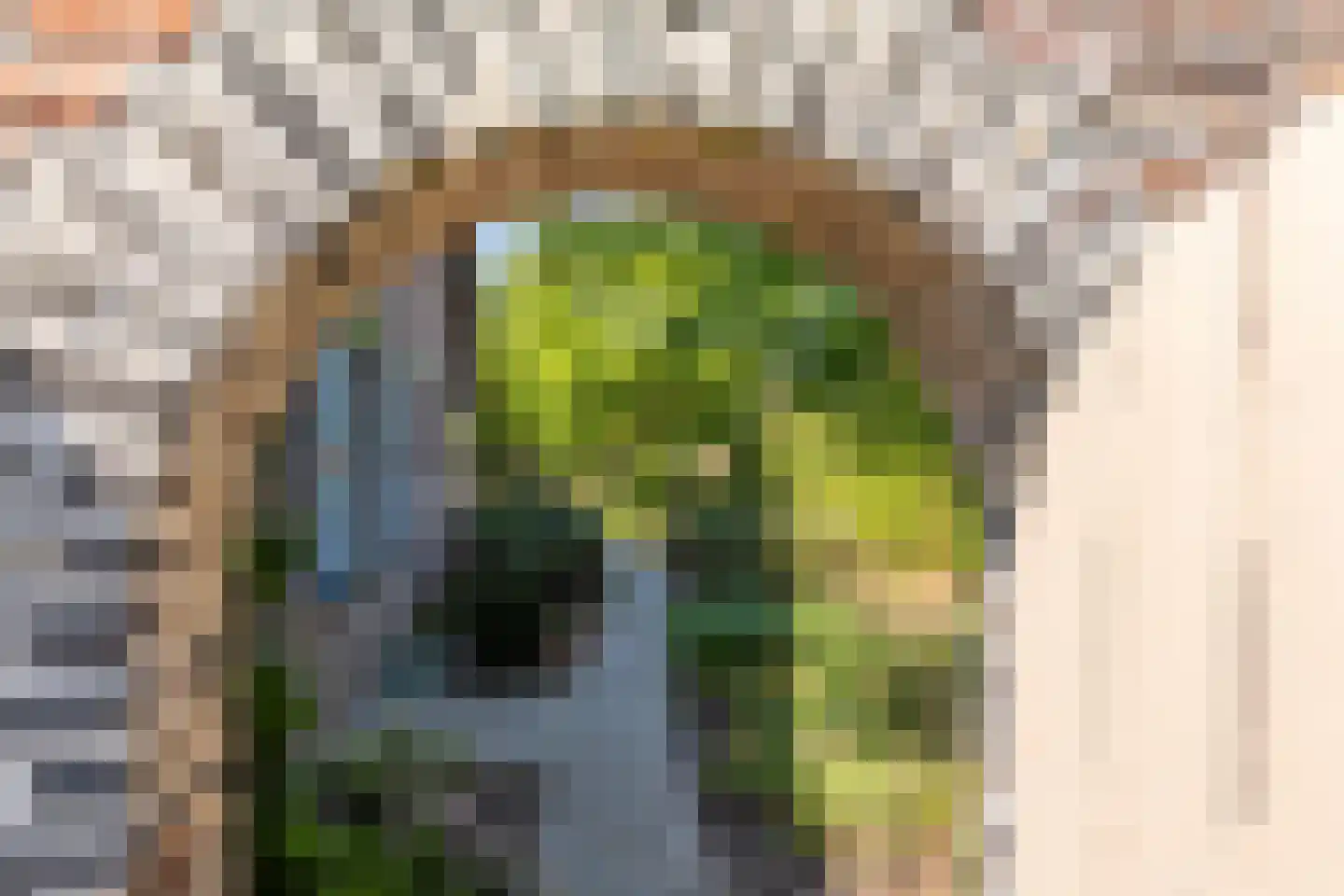 Olmsebaan 204 Noardburgum thumbnail 30