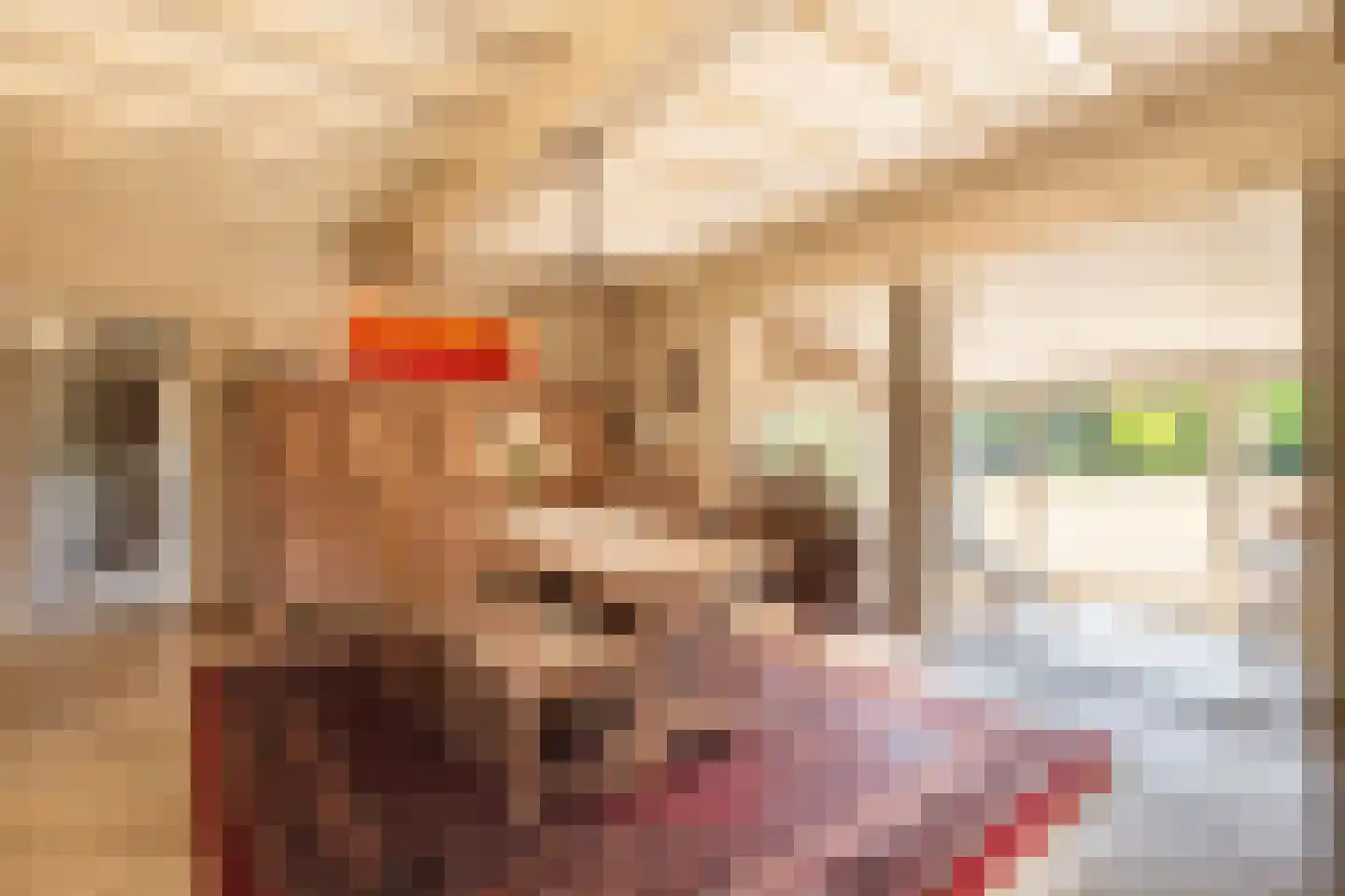 Olmsebaan 204 Noardburgum thumbnail 5