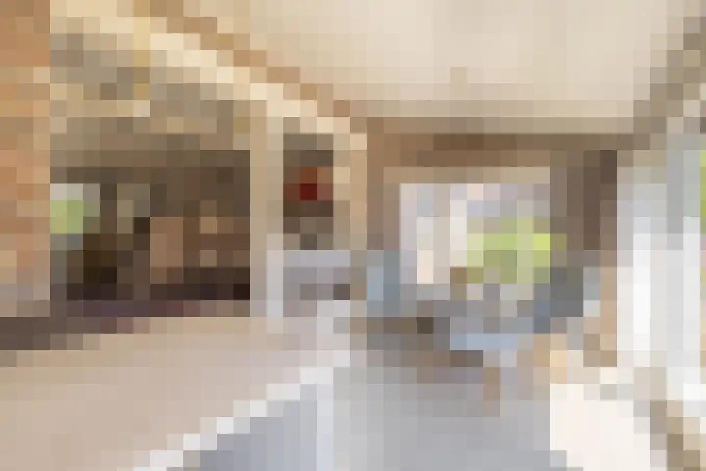 Olmsebaan 204 Noardburgum thumbnail 6